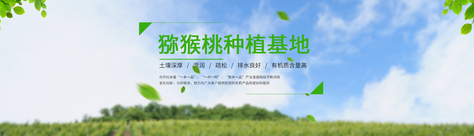 PC端幻灯二