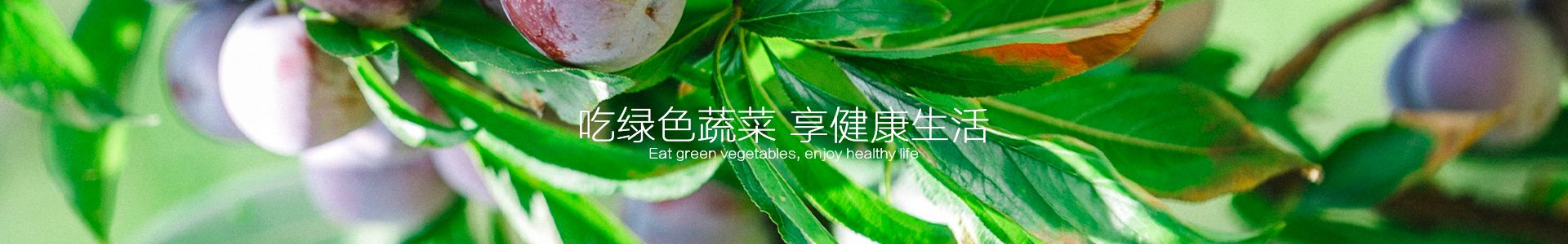 在线留言