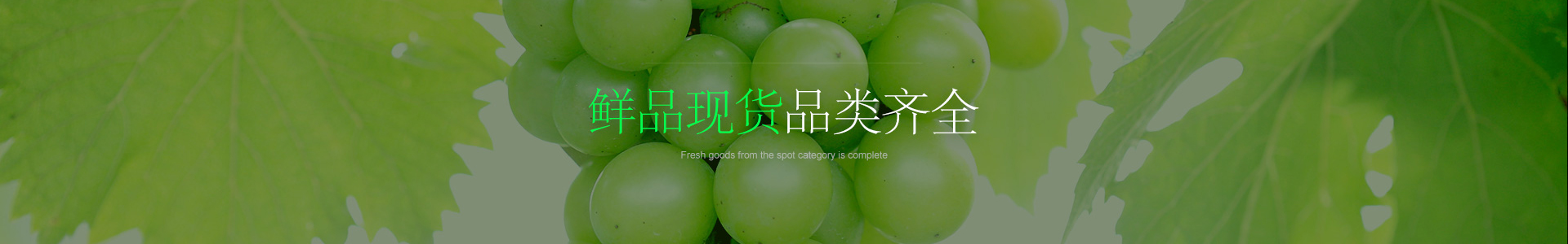 公司实力