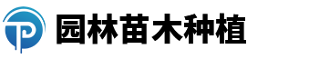 园林苗木种植